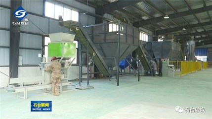 我縣首家生物質(zhì)顆粒項(xiàng)目正式投產(chǎn)，開(kāi)啟綠色燃料新篇章